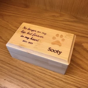 APC9030 - Wooden Casket