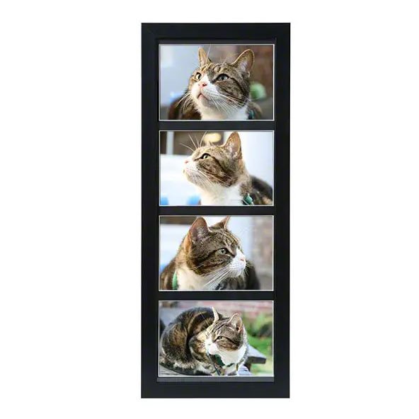 1650 cc Tribute Black Multi Frame Urn